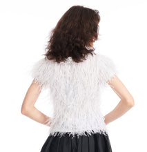 Load image into Gallery viewer, Feather V-neck Short Sleeve Top
